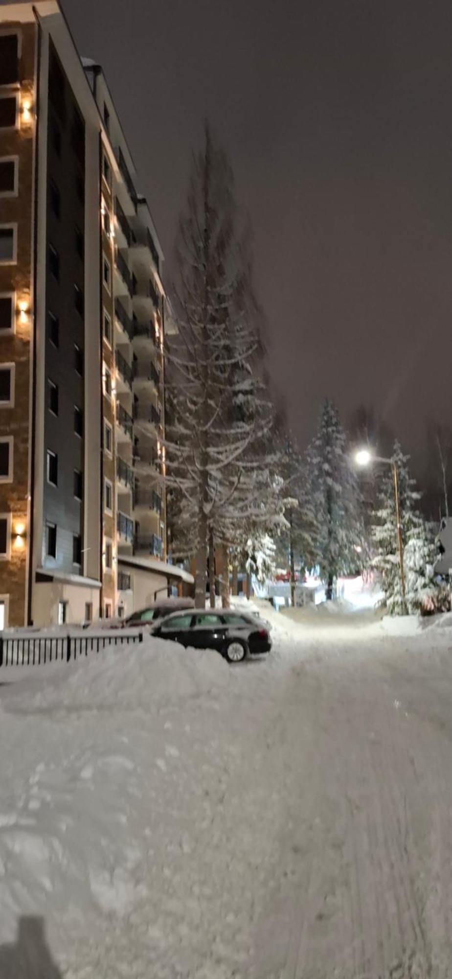 Alexia * Zlatibor